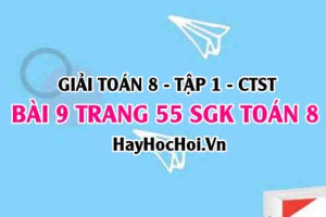 Giải bài 9 trang 55 Toán 8 Tập 1 SGK Chân trời sáng tạo